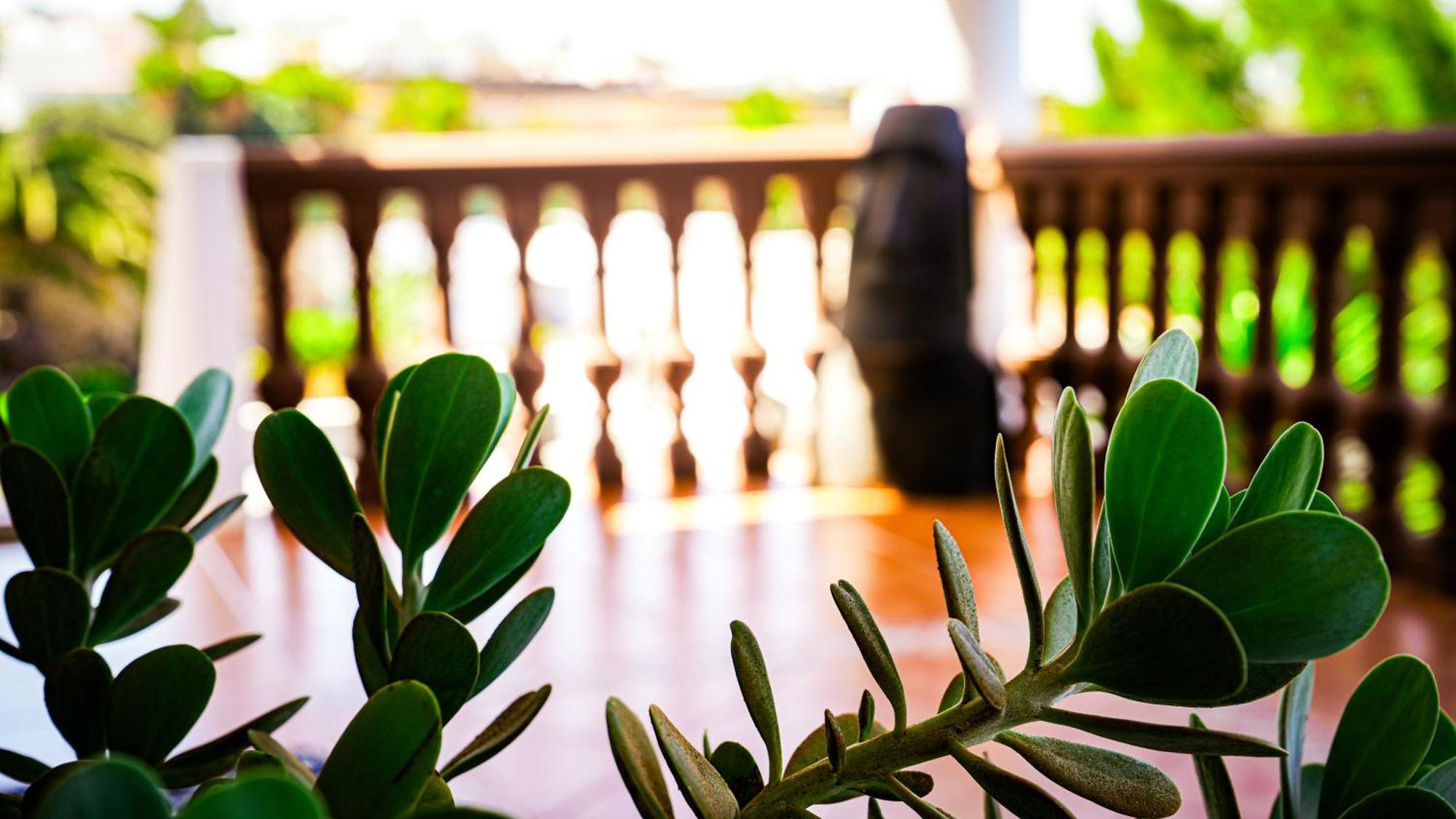 Villa Azul Fuerteventura Villaverde  Kültér fotó