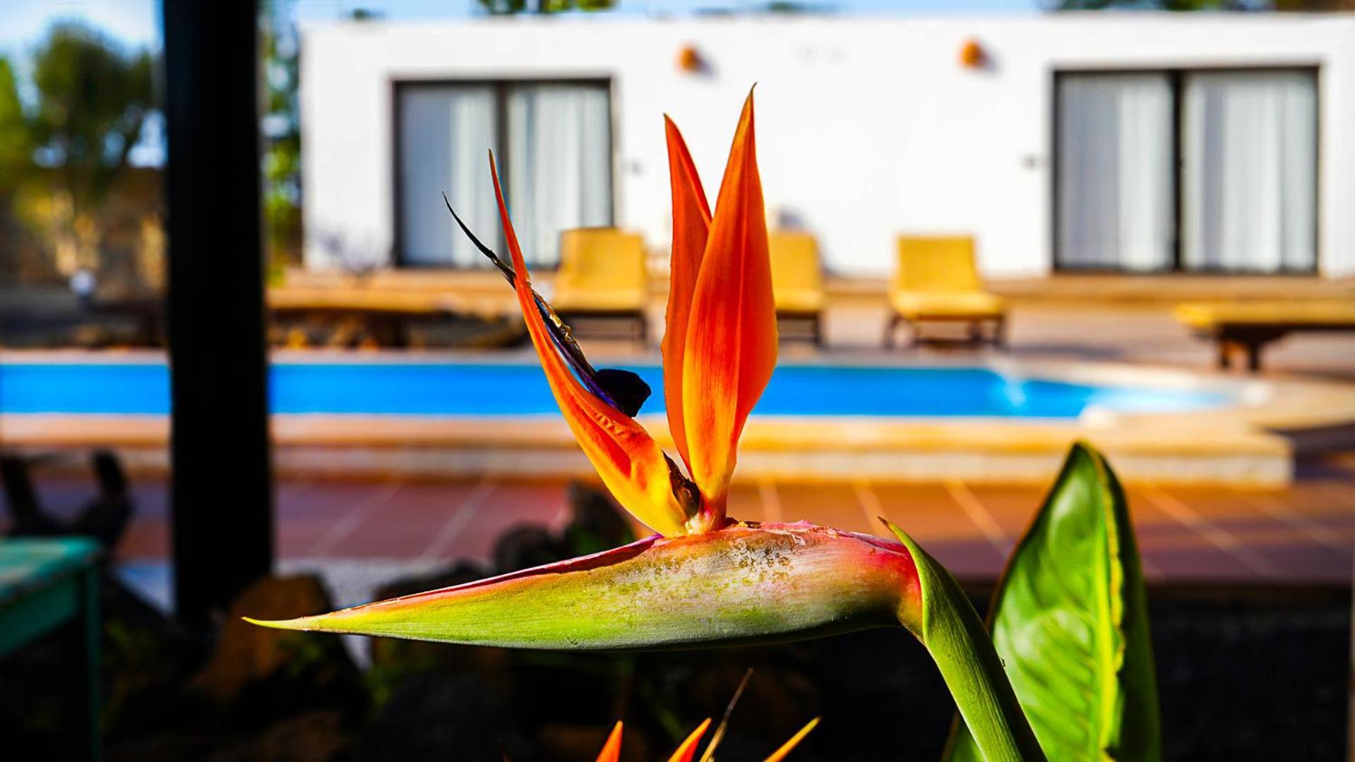 Villa Azul Fuerteventura Villaverde  Kültér fotó
